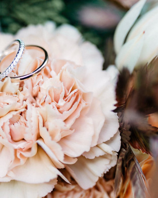 Trauring liegen auf Rose